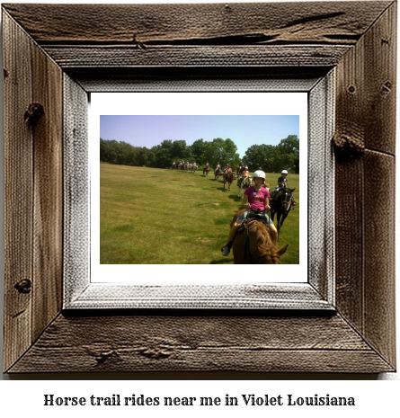 horse trail rides near me in Violet, Louisiana